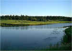 TH lake.jpg (58079 bytes)